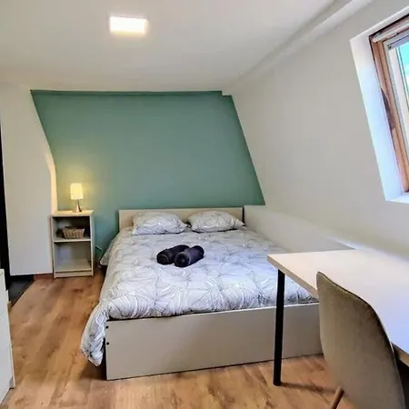 Canopee Du Nord - Grand Sejour Wifi Babyfoot Feriehus